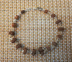 1 - 14 Mukhi Rudraksha Siddh Bracelet in Pure silver caps