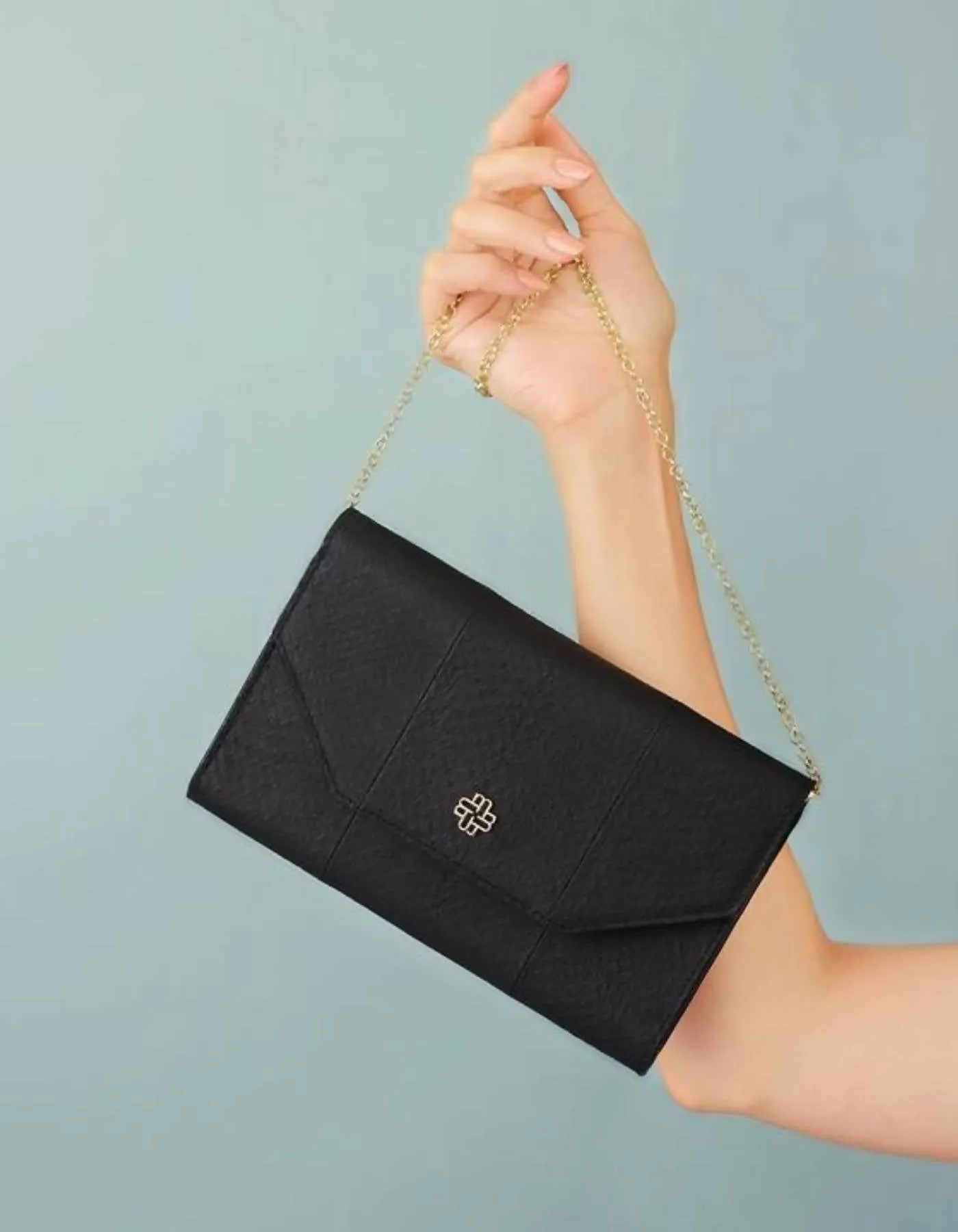 Aurora Wallet on Chain