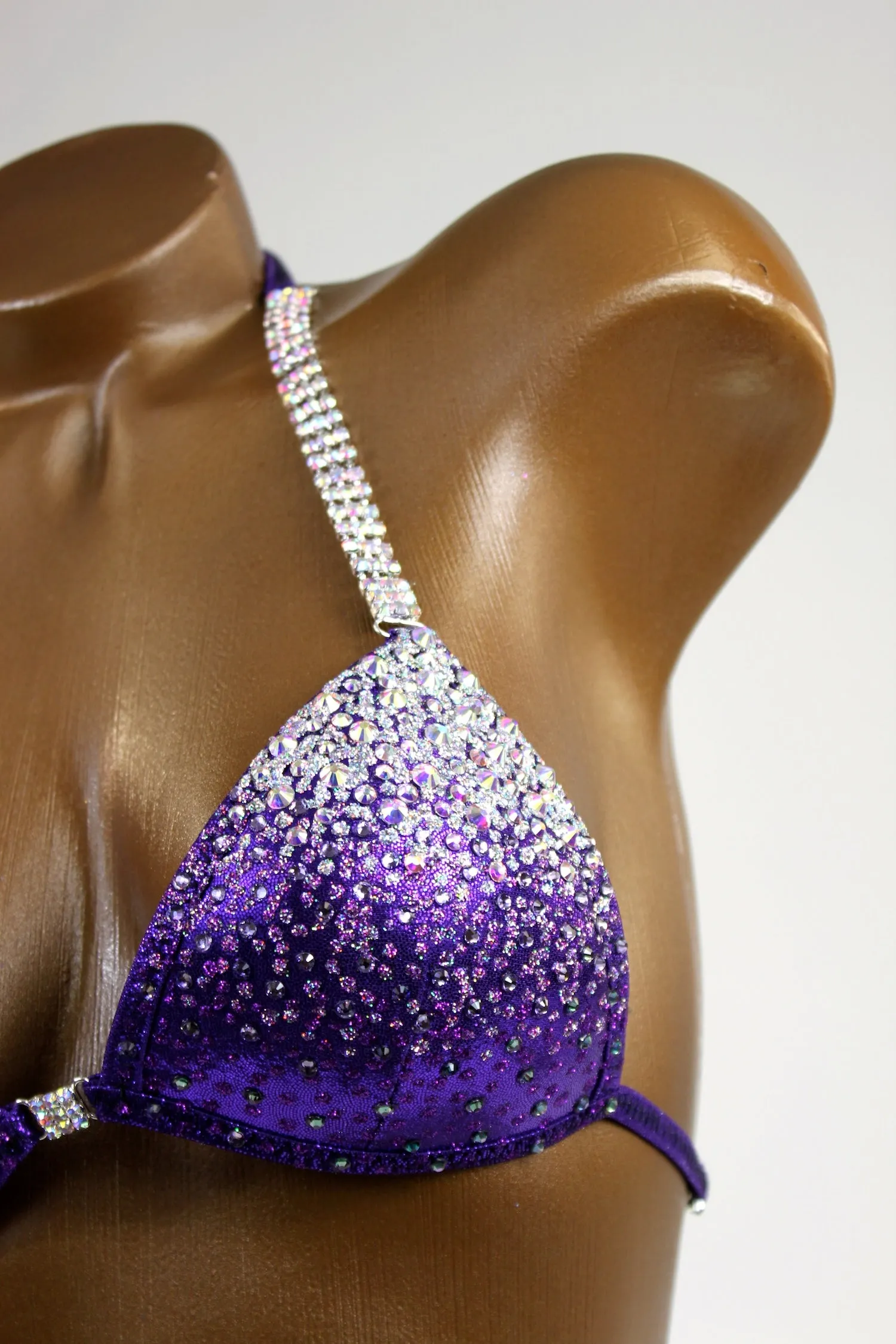 Deep Eggplant Ombre Bikini Suit