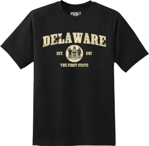 Delaware State Vintage Retro Hometown America Gift T Shirt New Graphic Tee