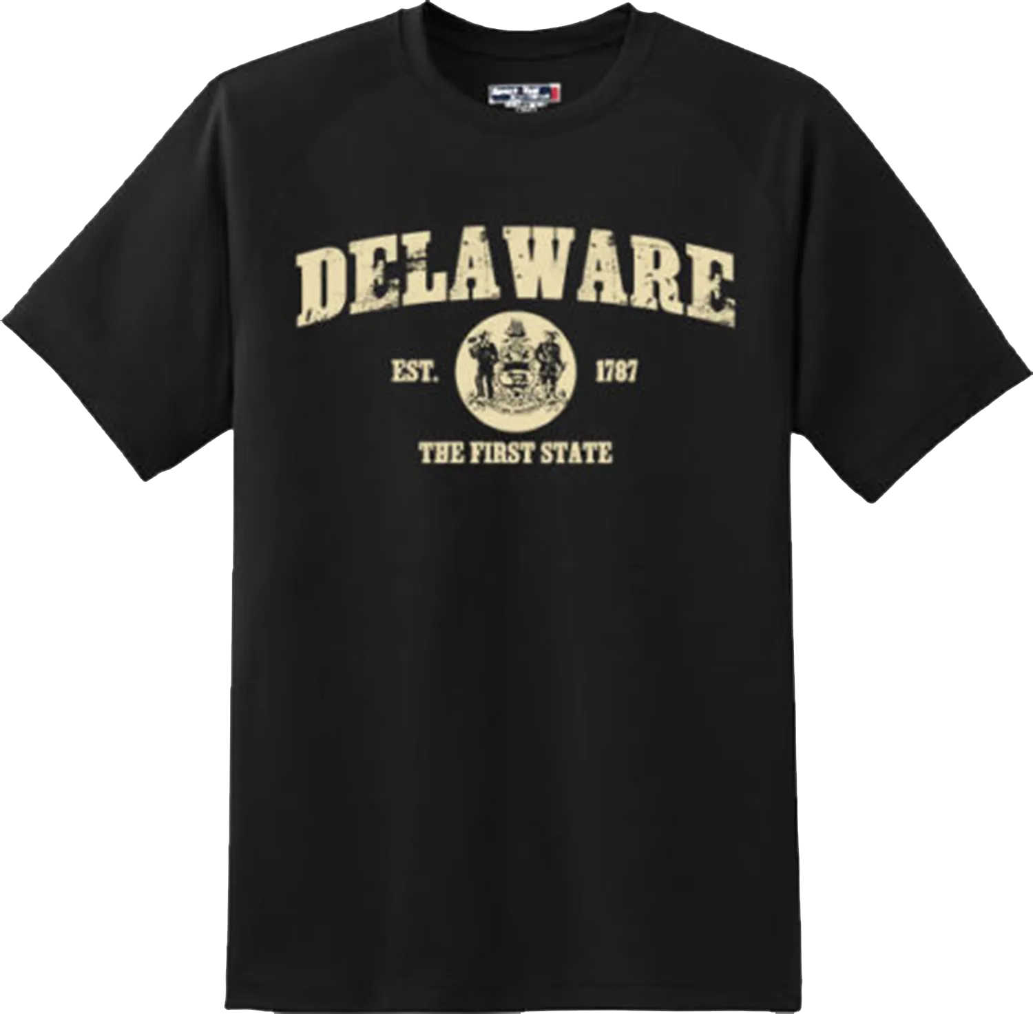 Delaware State Vintage Retro Hometown America Gift T Shirt New Graphic Tee