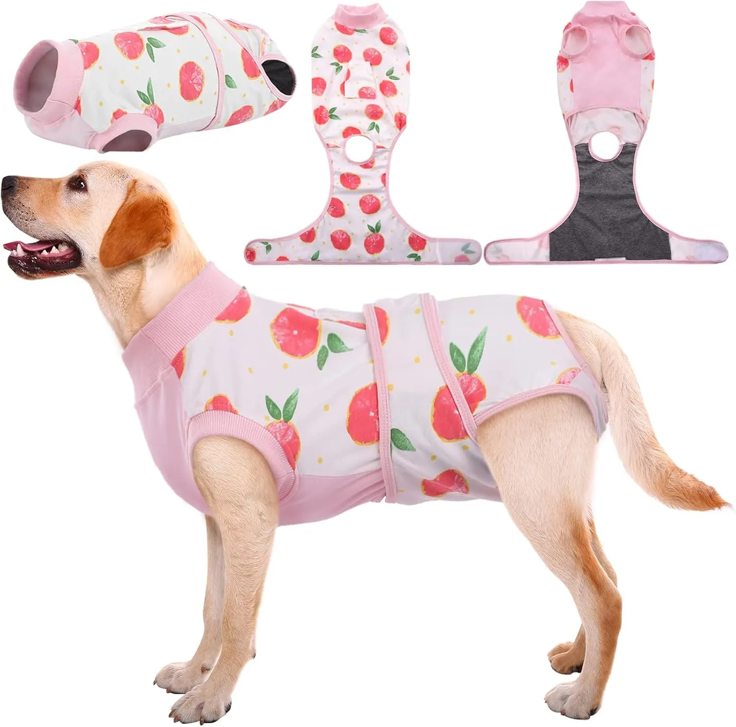 Dog Recovery Suit Cat Recovery Suit After Surgery