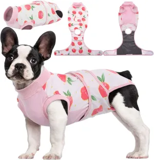 Dog Recovery Suit Cat Recovery Suit After Surgery