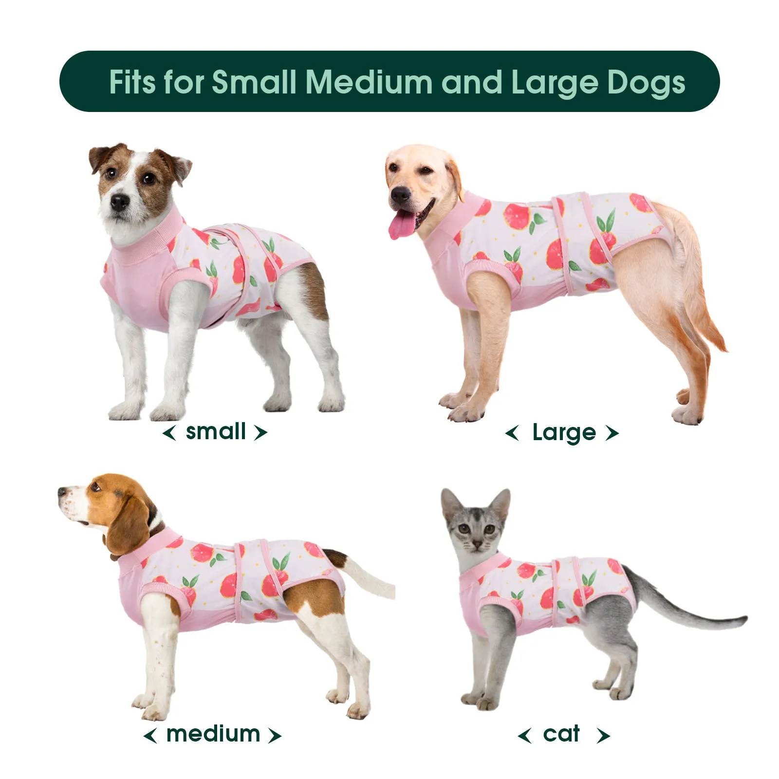Dog Recovery Suit Cat Recovery Suit After Surgery