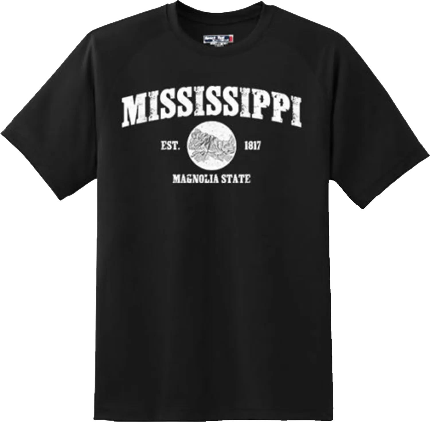 Mississippi State Vintage Retro Hometown America Gift T Shirt New Graphic Tee