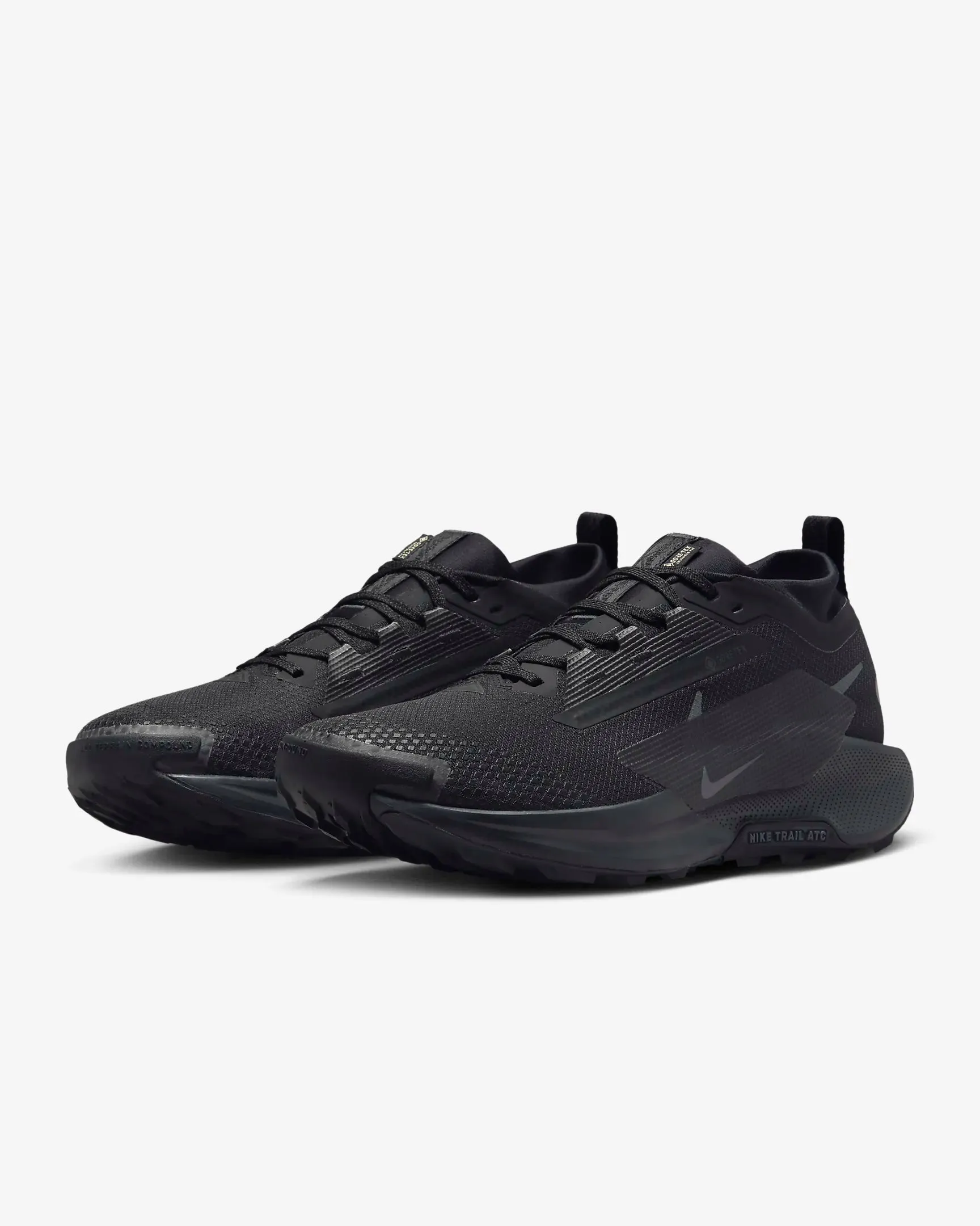 Nike Pegasus Trail 5 GTX Shoes (Men's)