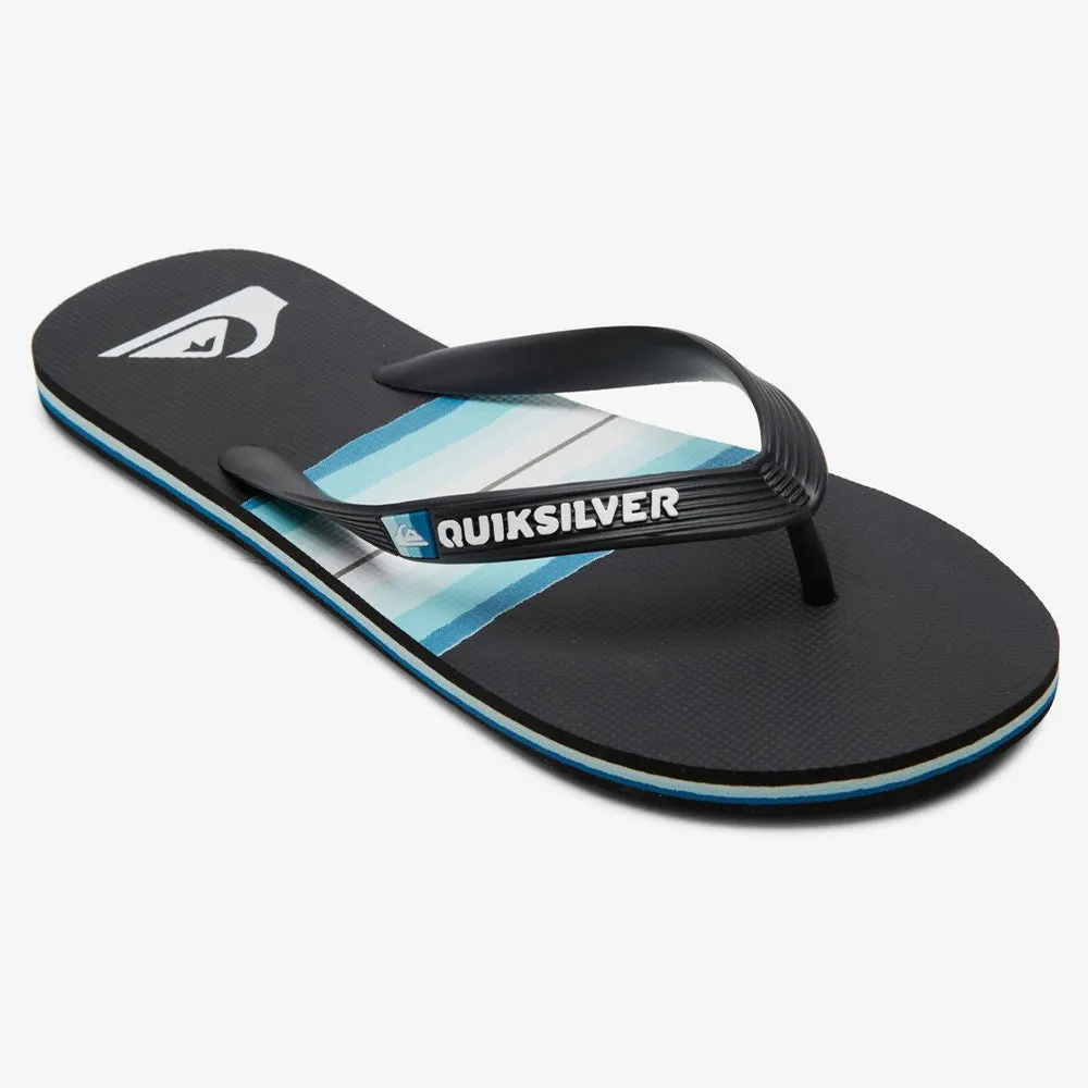Quiksilver Molokai Resin Tint Flip Flops