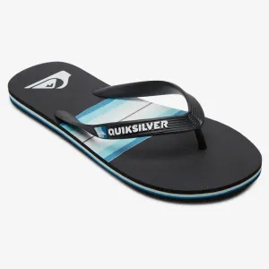 Quiksilver Molokai Resin Tint Flip Flops
