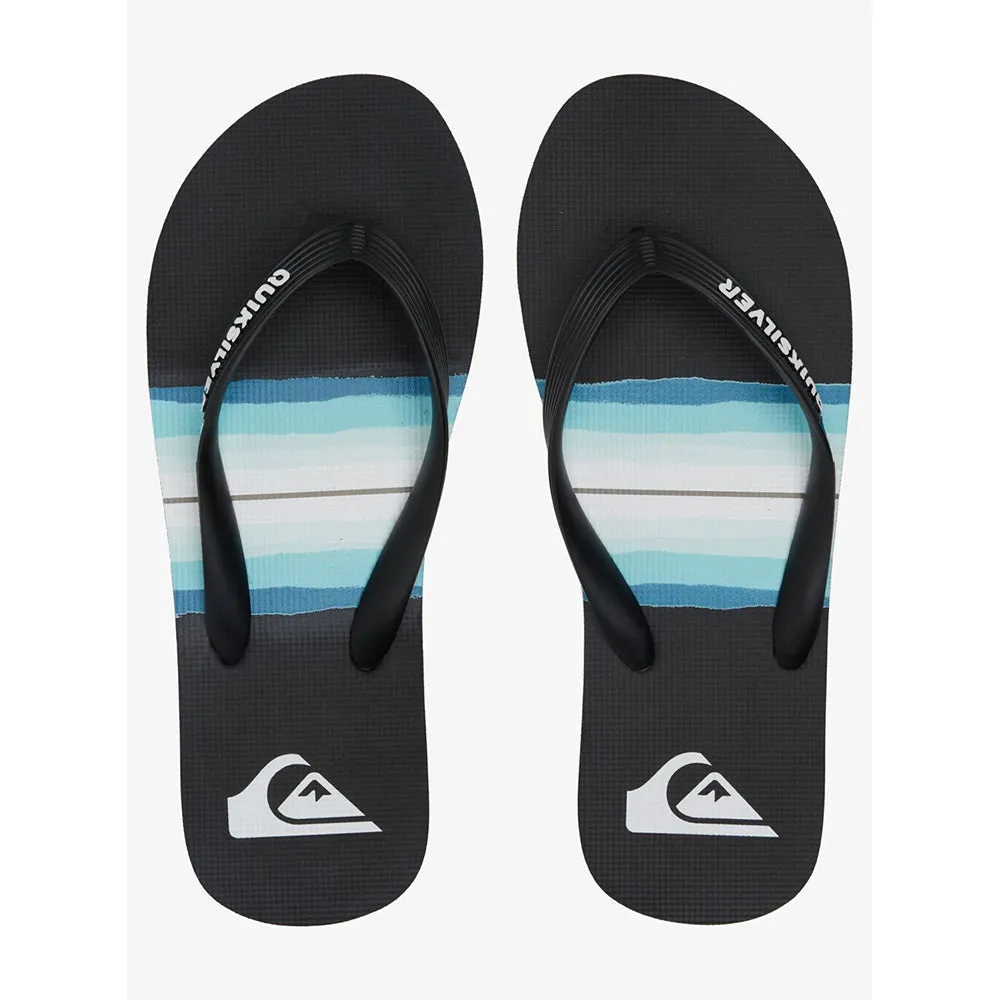 Quiksilver Molokai Resin Tint Flip Flops
