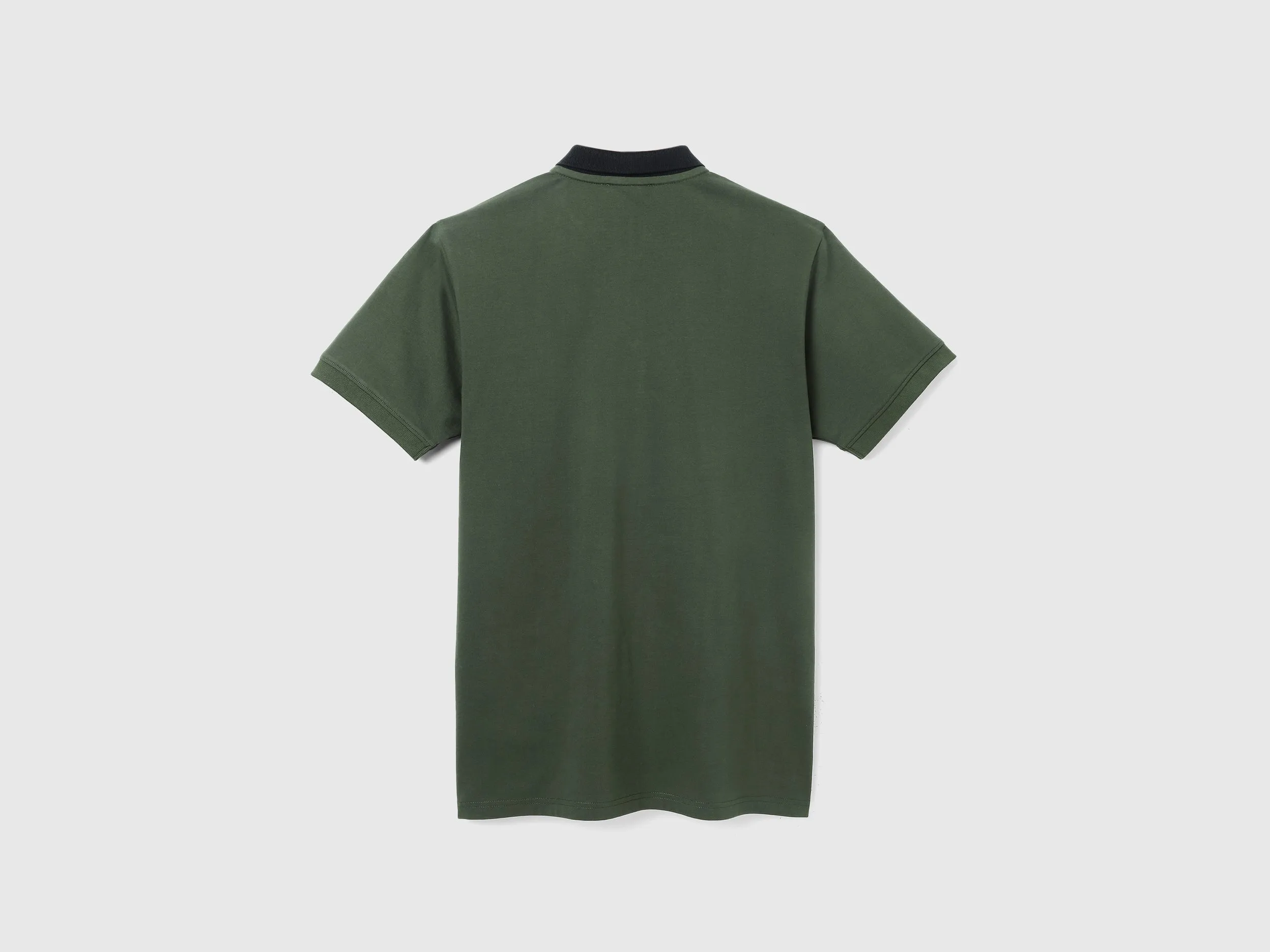 Regular Fit Polo Neck Typography Printed T-shirt