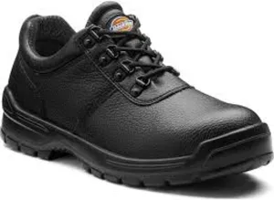 Safety Shoes Clifton II Dickies / Buy Online