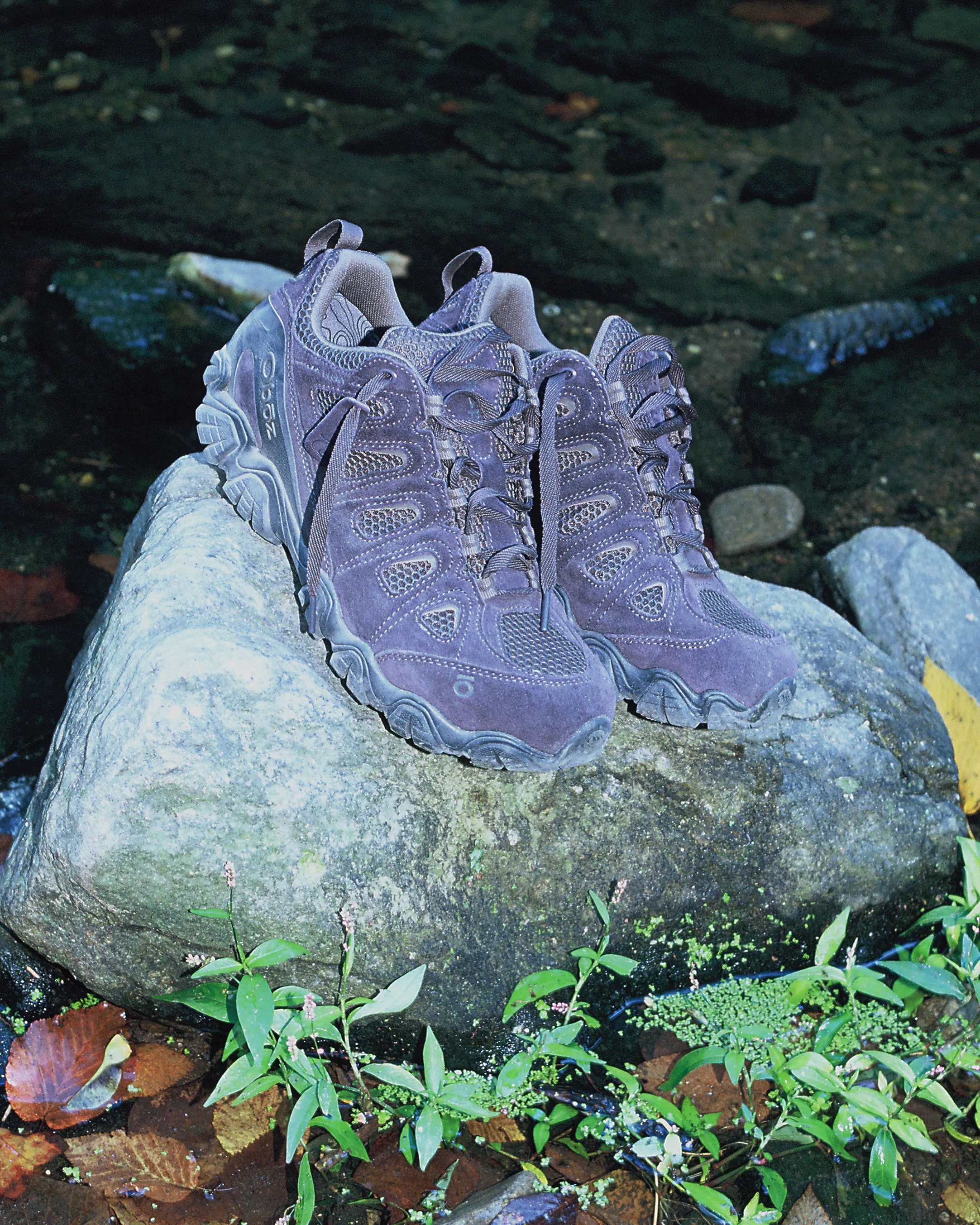 Swagtooth Low Waterproof Hiker, Purple Earth