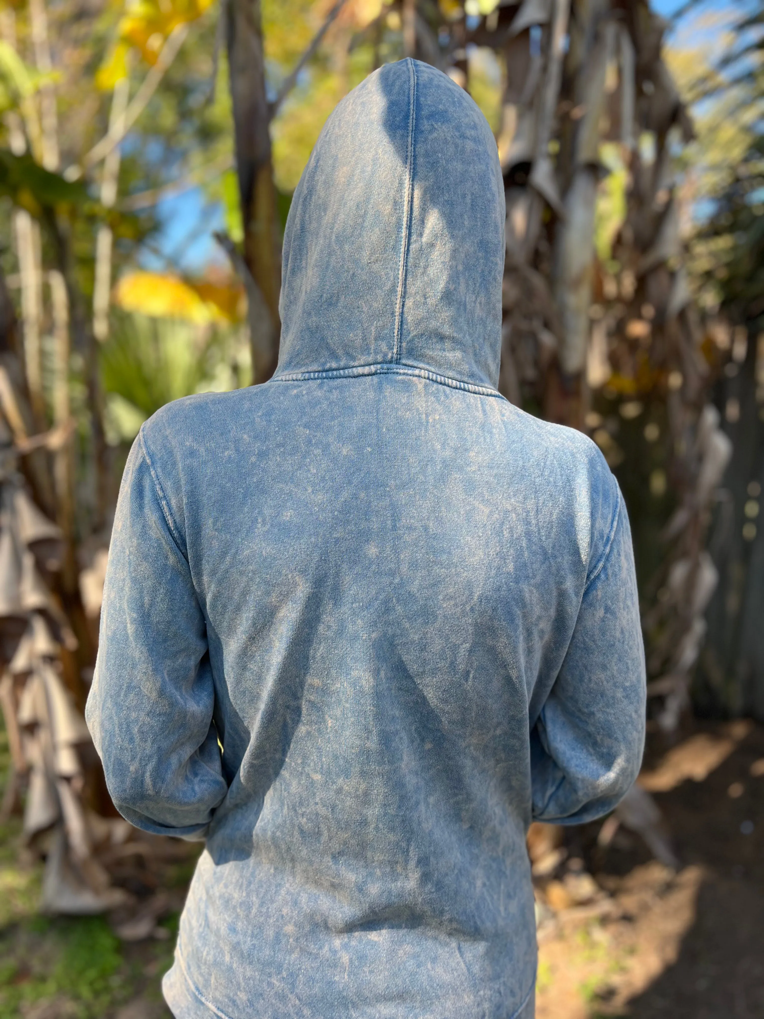 WBZ Bolt Vintage Hoodie